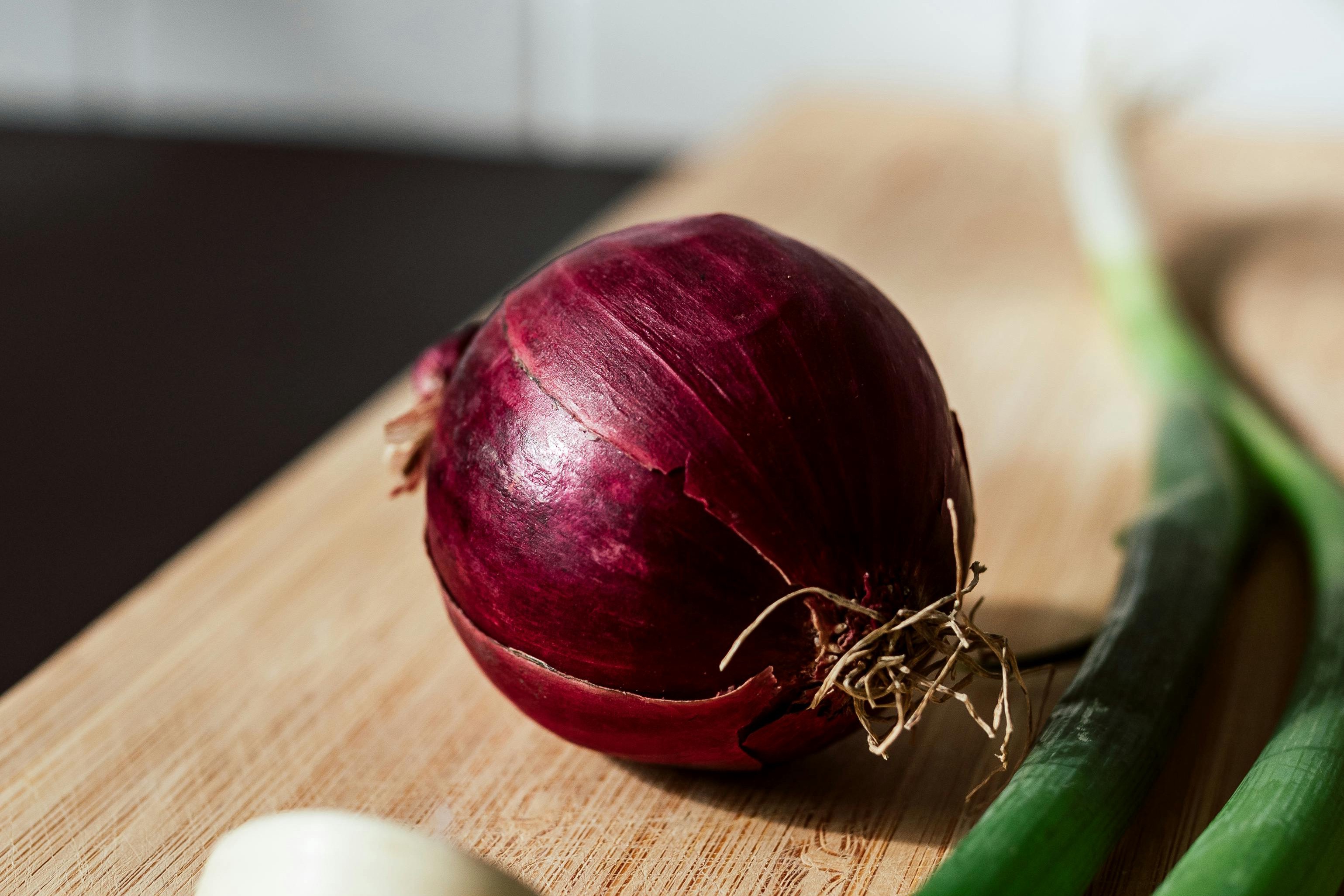 onion recipe
